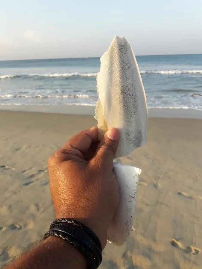 Archana Beach Homestay Varkala India