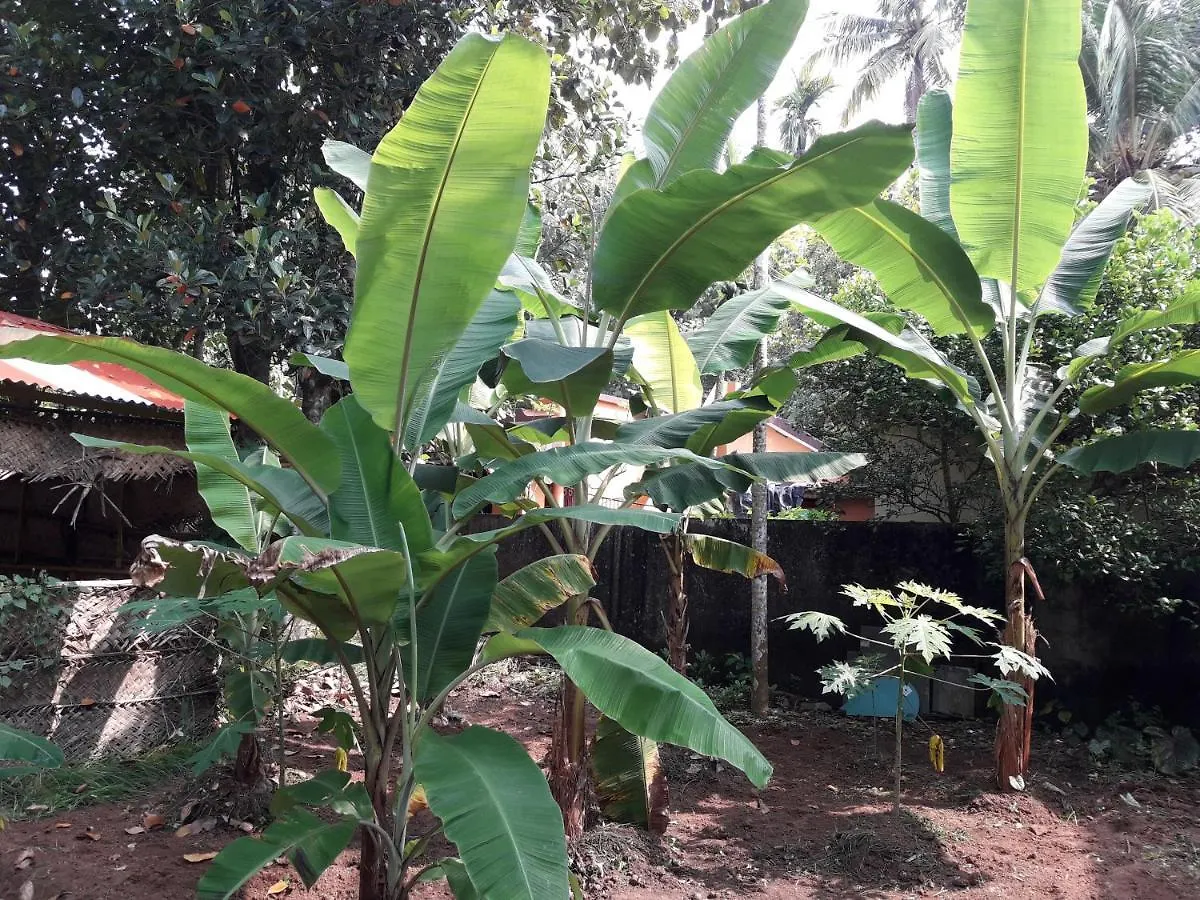 Archana Beach Homestay Varkala